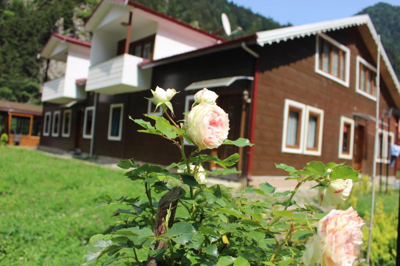 Uzungol Selale Otel Bungalow Ngoại thất bức ảnh