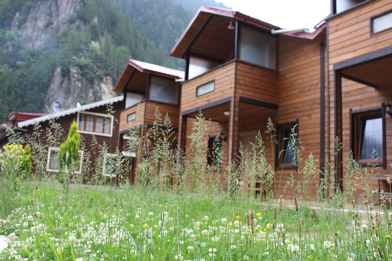 Uzungol Selale Otel Bungalow Ngoại thất bức ảnh
