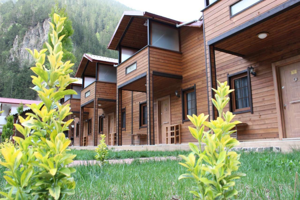 Uzungol Selale Otel Bungalow Ngoại thất bức ảnh